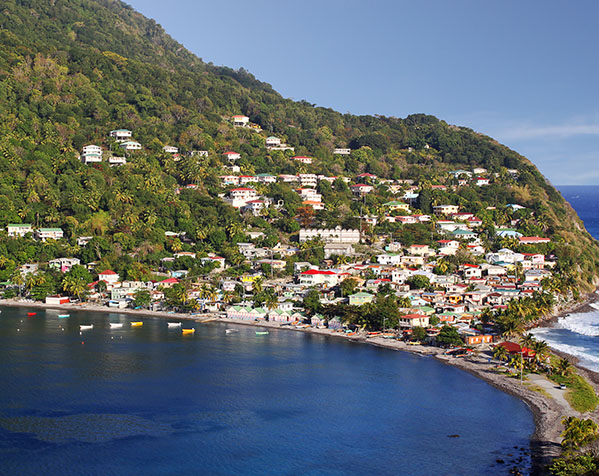 美國新政走廣領館客戶3月面試獲批了！澳星首批客戶拿到正式綠卡！